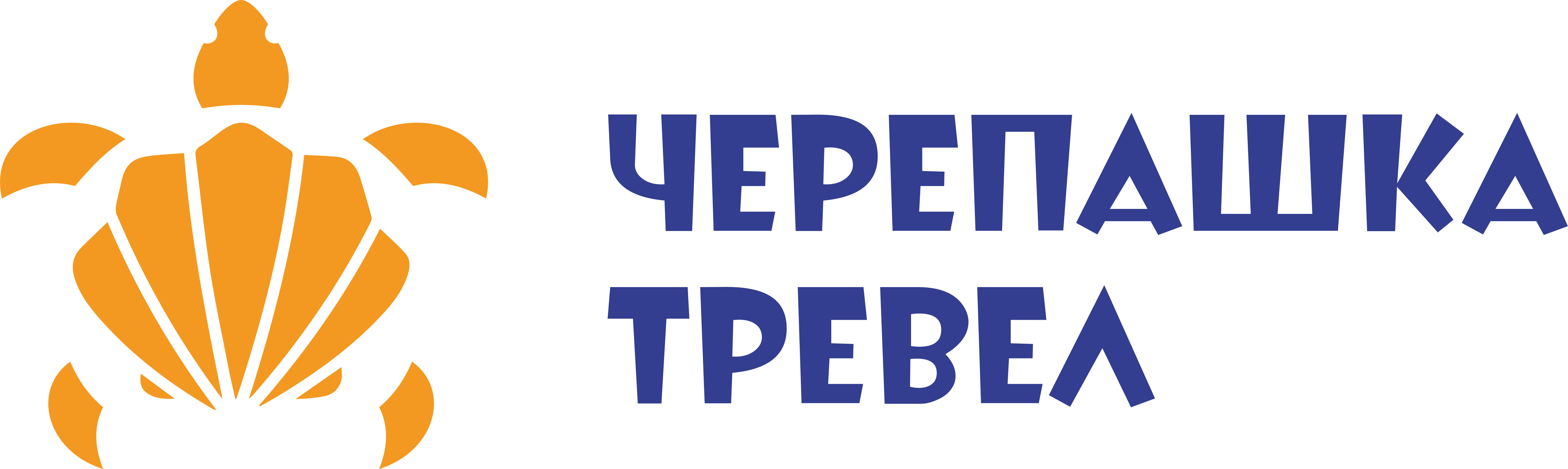 Черепашка Тревел